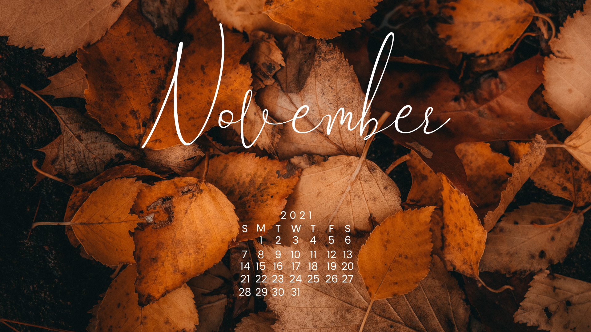 Lịch tháng 11 năm 2015: Nếu bạn muốn tìm kiếm một lịch bàn độc đáo để trang trí cho văn phòng của mình, hãy tham khảo ngay lịch bàn tháng 11 năm