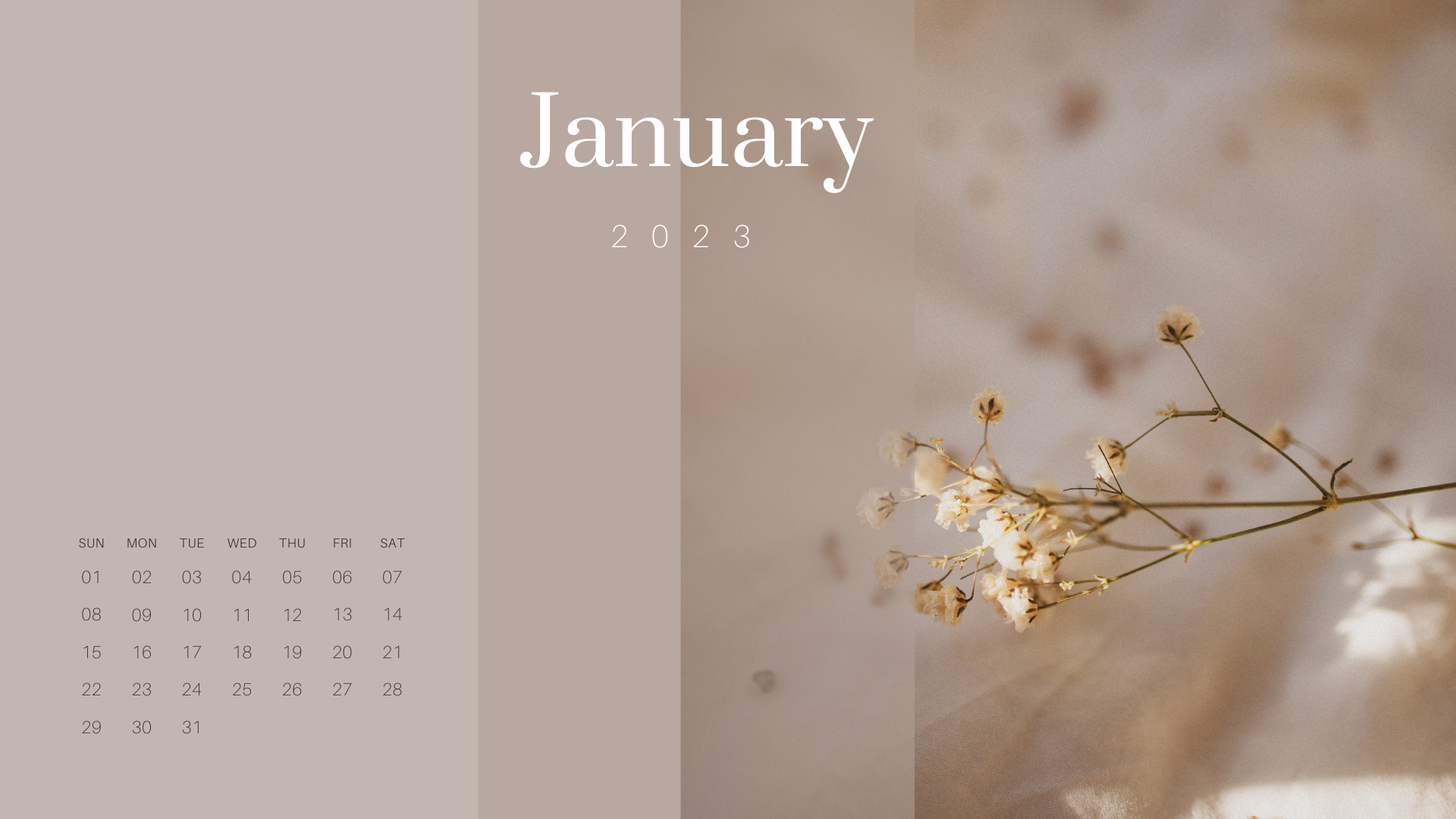 January 2023 wallpaper background download now for free