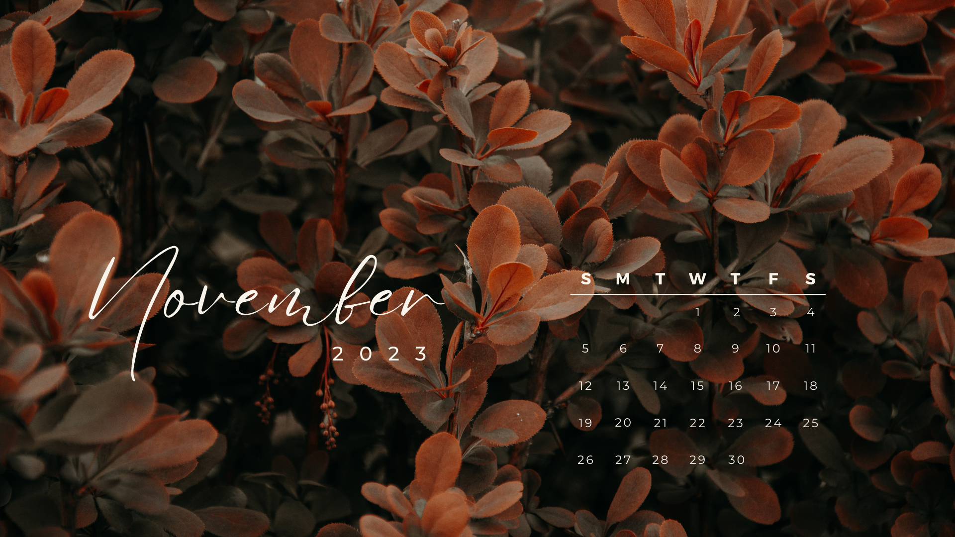 November 2023 wallpapers – 45 FREEBIES for desktop & phones!